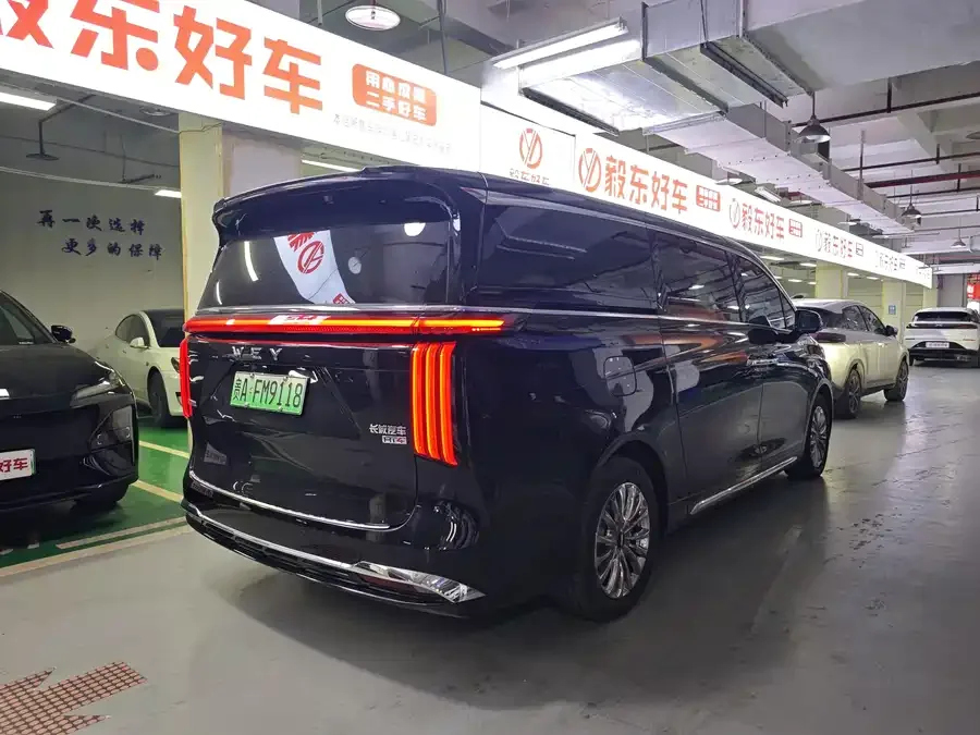 WEY mountains Weipai Alpine 2023 4WD Executive Extended Edition 2024 — миниатюра 5