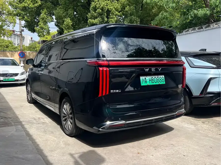 WEY mountains Weipai Alpine 2023 4WD Executive Extended Edition 2024 — миниатюра 3