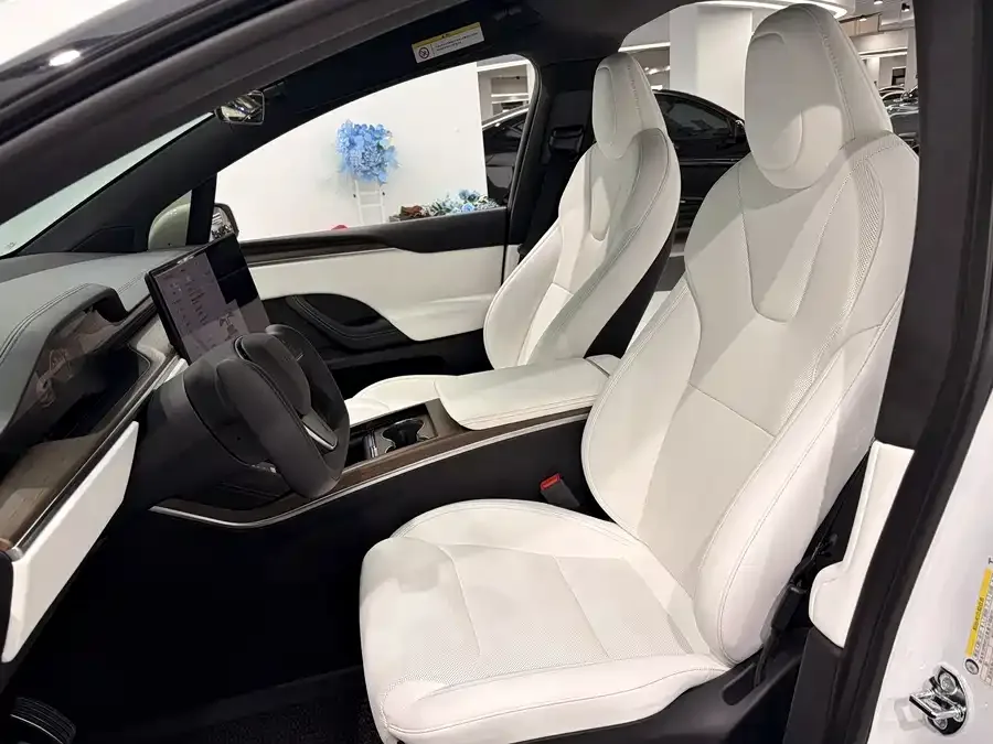 Tesla Model X Model X 2023 Dual Motor All-Wheel Drive 2023 — миниатюра 3
