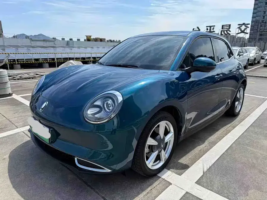ORA Good Cat Euler Good Cat 2023 401km standard range luxury lithium iron phosphate 2024 — фото 1, купить с доставкой в Москву