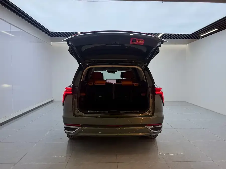 WEY Blue Mountains Wei Brand Blue Mountain 2025 4WD Ultra 2024 — миниатюра 4