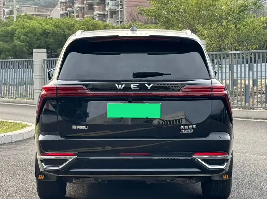 WEY Blue Mountains Wei Brand Blue Mountain 2023 two-wheel drive long-range version 2023 — миниатюра 3