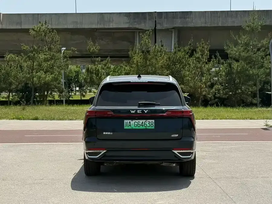 WEY Blue Mountains Wei Brand Blue Mountain 2023 four-wheel drive long-range version 2024 — миниатюра 5