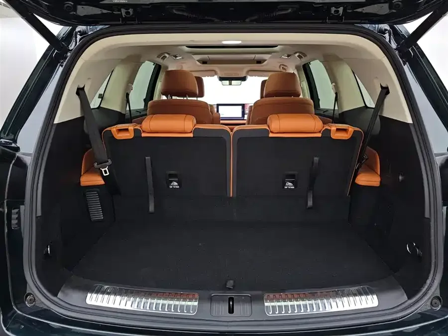 WEY Blue Mountains Wei Brand Blue Mountain 2025 4WD Max 2025 — миниатюра 5