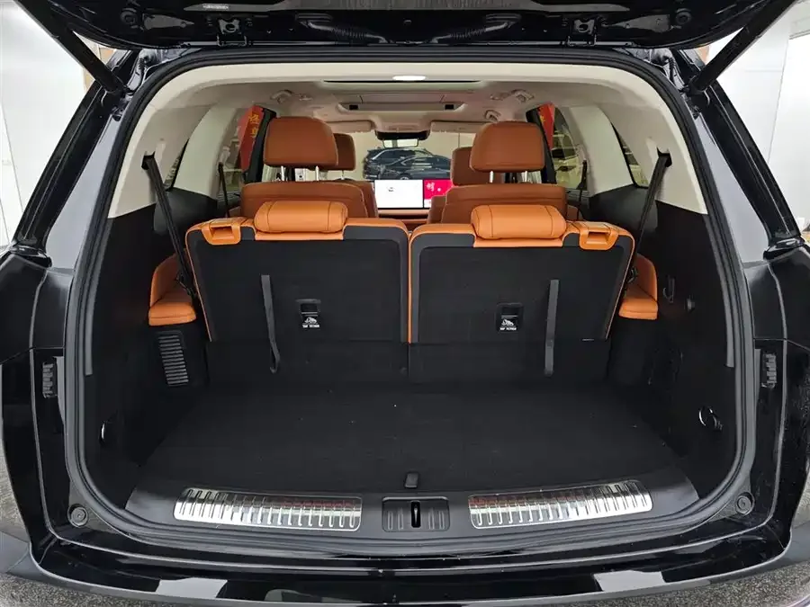 WEY Blue Mountains Wei Brand Blue Mountain 2025 4WD Max 2024 — миниатюра 5