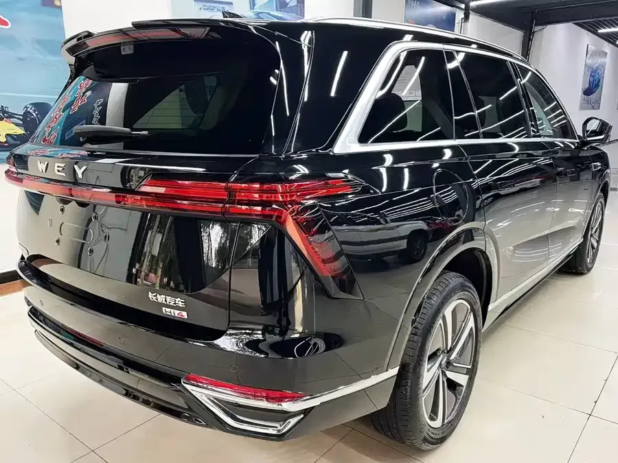 WEY Blue Mountains Wei Brand Blue Mountain 2025 4WD Max 2025 — миниатюра 4