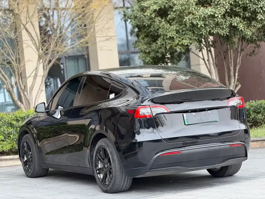 Tesla Model Y Model Y 2022 rear-wheel drive version 2022 — миниатюра 3