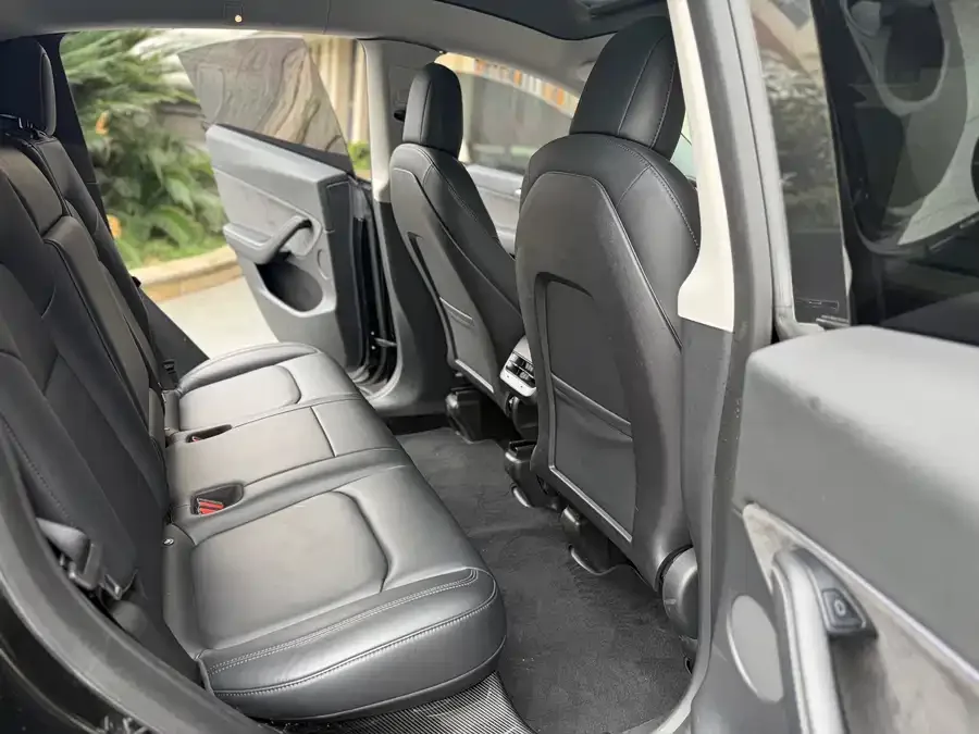 Tesla Model Y Model Y 2022 rear-wheel drive version 2022 — миниатюра 4