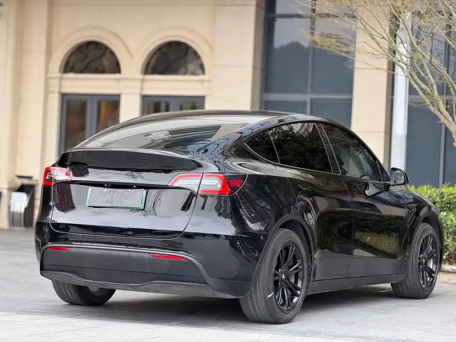 Tesla Model Y Model Y 2022 rear-wheel drive version 2022 — миниатюра 5