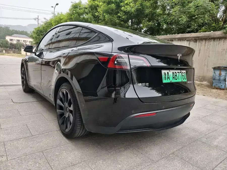 Tesla Model Y Model Y 2022 rear-wheel drive version 2022 — миниатюра 4