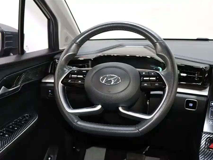 Hyundai Custo Kustu 2021 270TGDi Premium Edition LUX 2024 — миниатюра 4