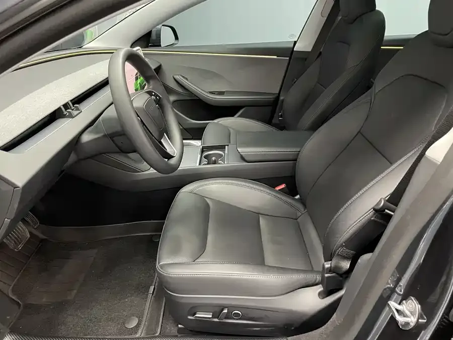 Tesla Model 3 Model 3 2025 rear-wheel drive version 2025 — миниатюра 2