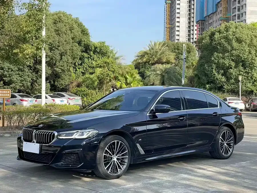 BMW 5 Series BMW 5 Series 2022 530Li Leading M Sport Package 2022 — фото 1, купить с доставкой в Москву