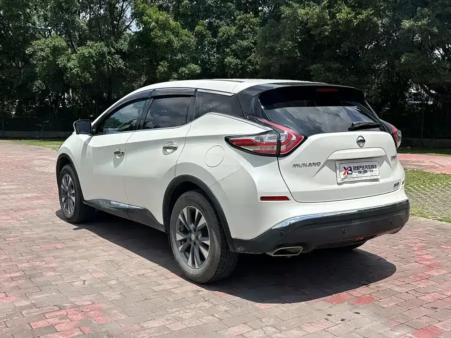 Nissan Murano Loulan 2021 2.5L XL 2WD Intelligent Linked Deluxe Edition 2022 — миниатюра 5