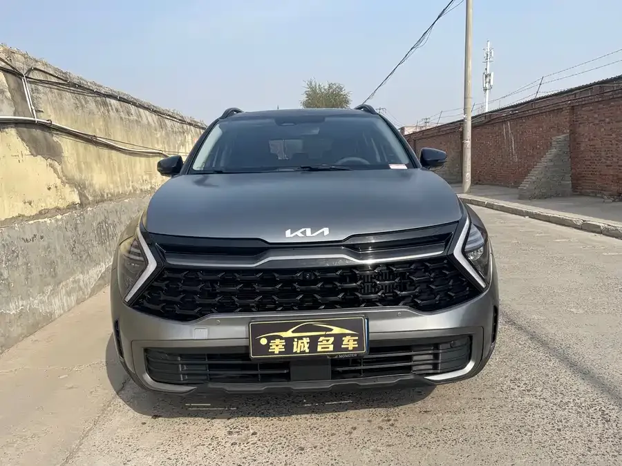 Kia Lion Platinum 2023 Lion Bo Tuojie 2.0T 2WD Flagship Edition 2023 — фото 1, купить с доставкой в Москву