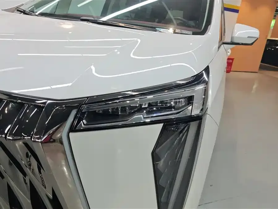 GAC Trumpchi E9 Trumpchi E9 2023 E9 Champion Edition 2023 — миниатюра 5