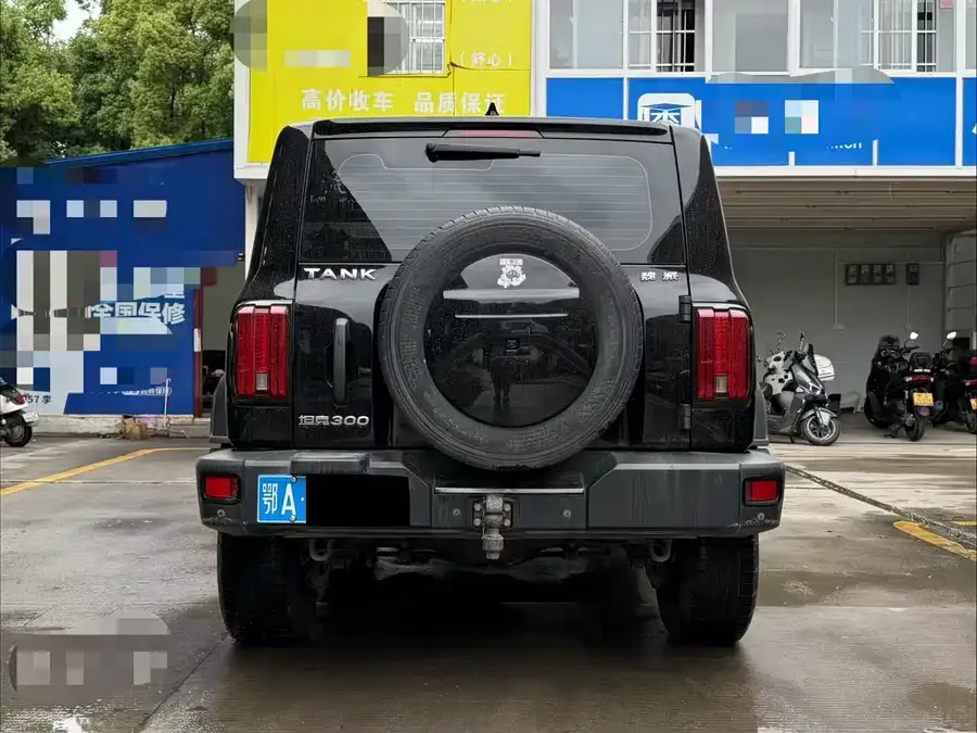 Tank 300 Tank 300 2021 Off-Road Edition 2.0T Conqueror 2022 — миниатюра 3