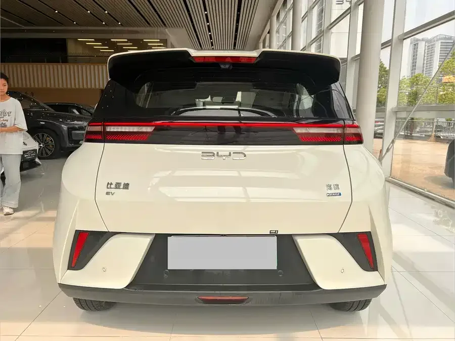 BYD Seagull Seagull 2025 Intelligent Driving Edition 405KM Flying Edition 2025 — миниатюра 5