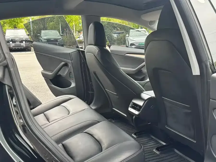 Tesla Model 3 Model 3 2022 rear-wheel drive version 2022 — миниатюра 2