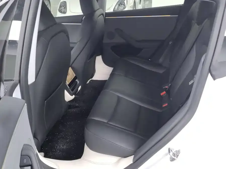 Tesla Model 3 Model 3 2023 rear-wheel drive version 2024 — миниатюра 2