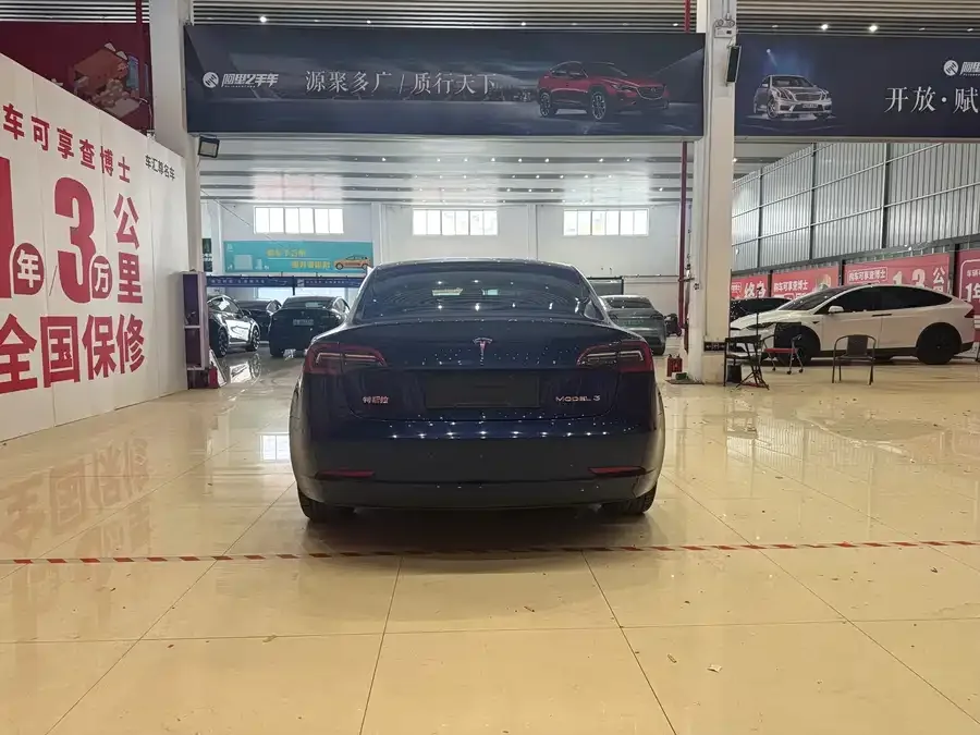 Tesla Model 3 Model 3 2022 rear-wheel drive version 2022 — миниатюра 2
