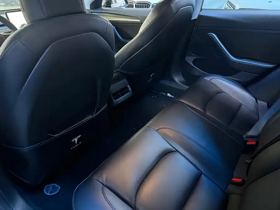 Tesla Model 3 Model 3 2022 rear-wheel drive version 2022 — миниатюра 4