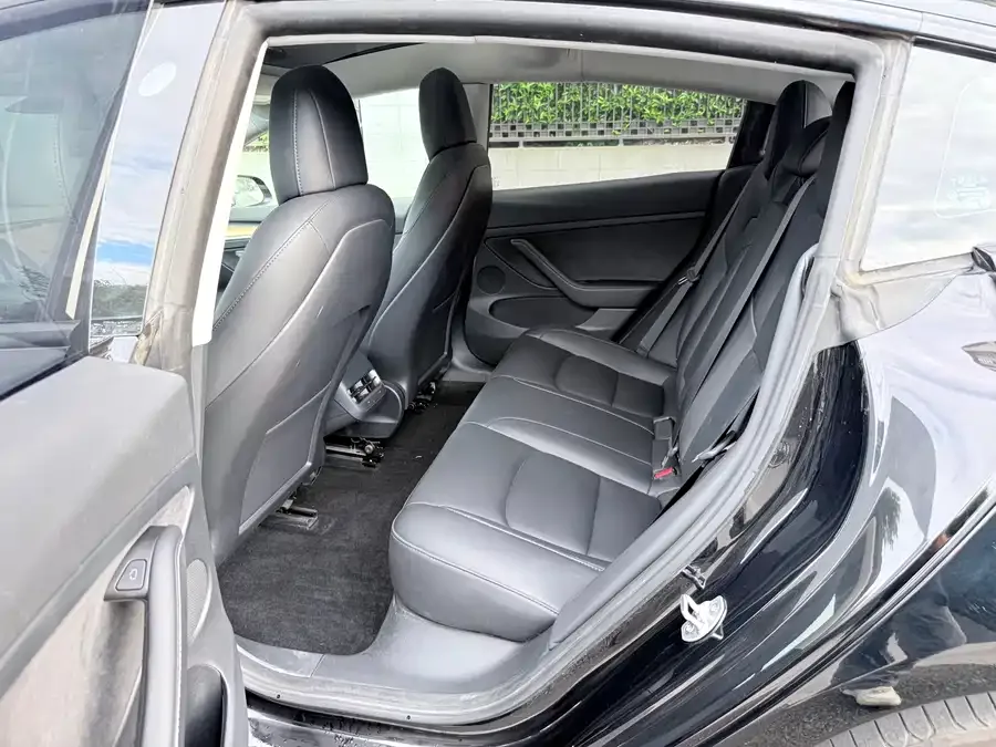Tesla Model 3 Model 3 2022 rear-wheel drive version 2023 — миниатюра 2