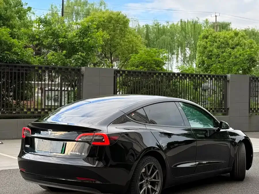 Tesla Model 3 Model 3 2022 rear-wheel drive version 2023 — миниатюра 3