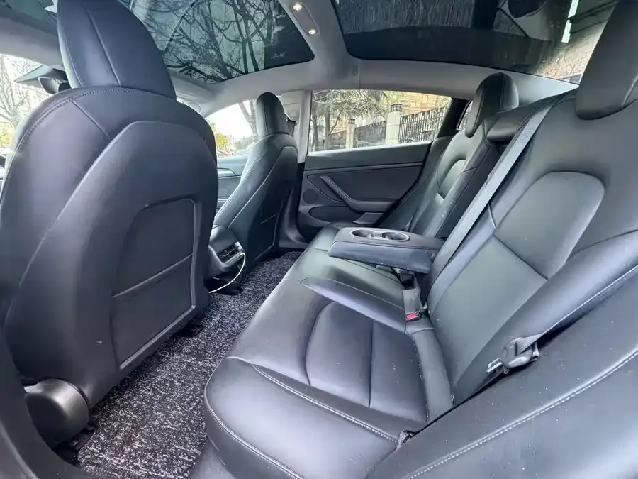 Tesla Model 3 Model 3 2022 rear-wheel drive version 2023 — миниатюра 2