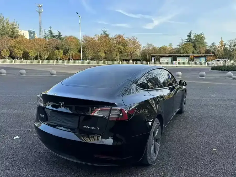 Tesla Model 3 Model 3 2022 rear-wheel drive version 2023 — миниатюра 3