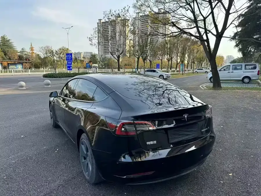 Tesla Model 3 Model 3 2022 rear-wheel drive version 2023 — миниатюра 5