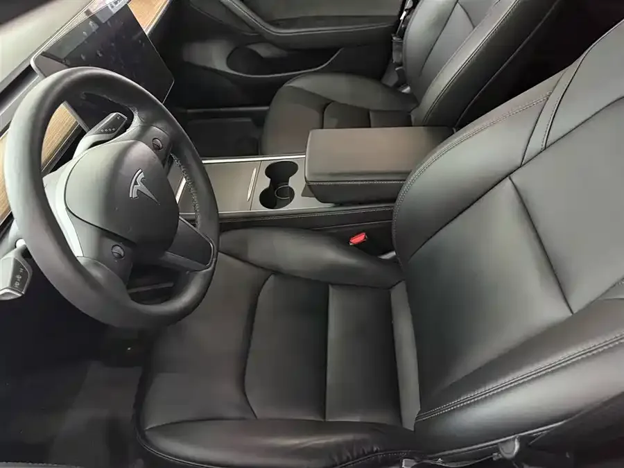 Tesla Model 3 Model 3 2022 rear-wheel drive version 2022 — миниатюра 2