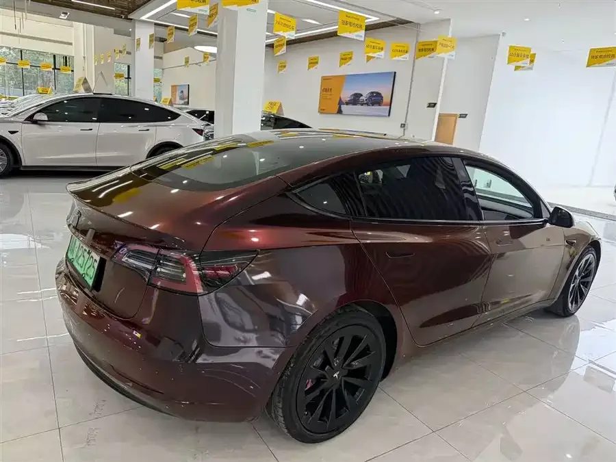 Tesla Model 3 Model 3 2022 rear-wheel drive version 2022 — миниатюра 4