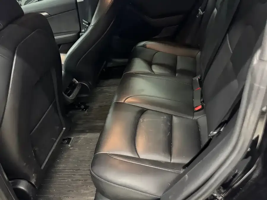 Tesla Model 3 Model 3 2022 rear-wheel drive version 2022 — миниатюра 2