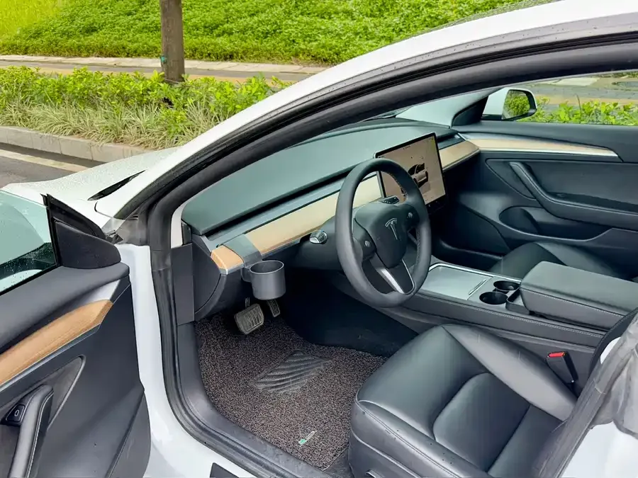 Tesla Model 3 Model 3 2022 rear-wheel drive version 2022 — миниатюра 2