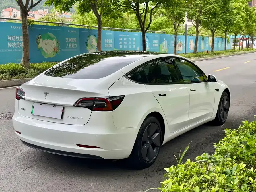 Tesla Model 3 Model 3 2022 rear-wheel drive version 2022 — миниатюра 3