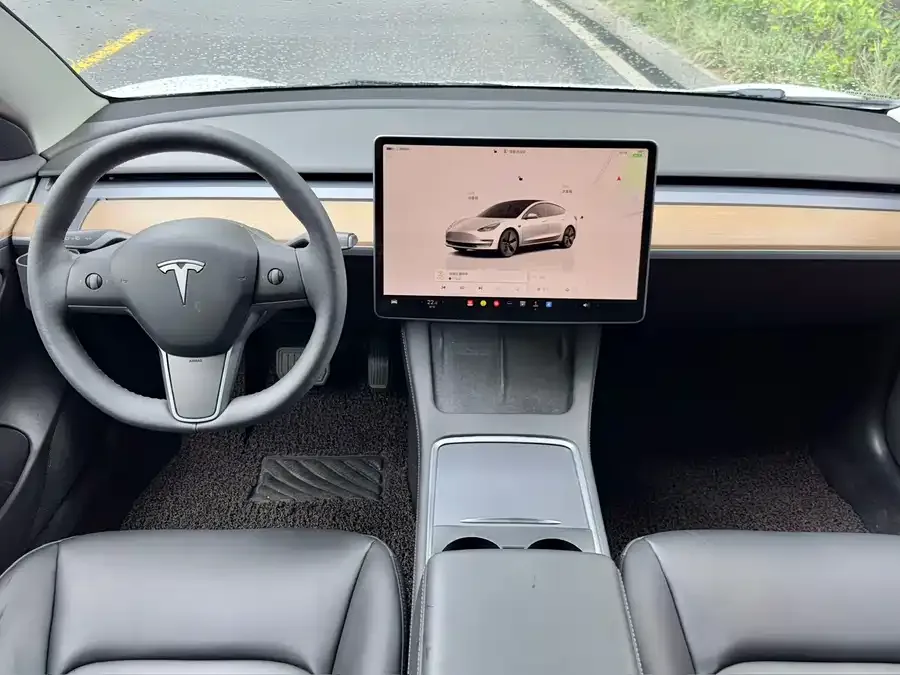 Tesla Model 3 Model 3 2022 rear-wheel drive version 2022 — миниатюра 4
