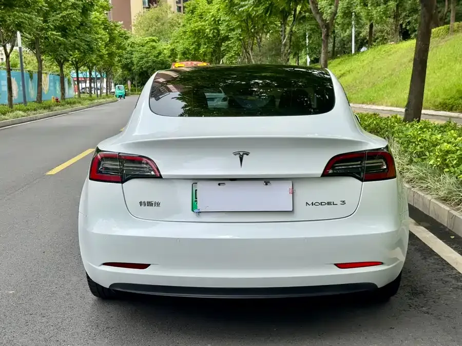 Tesla Model 3 Model 3 2022 rear-wheel drive version 2022 — миниатюра 5