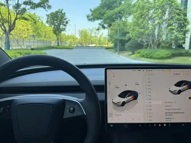 Tesla Model 3 Model 3 2025 rear-wheel drive version 2025 — миниатюра 2