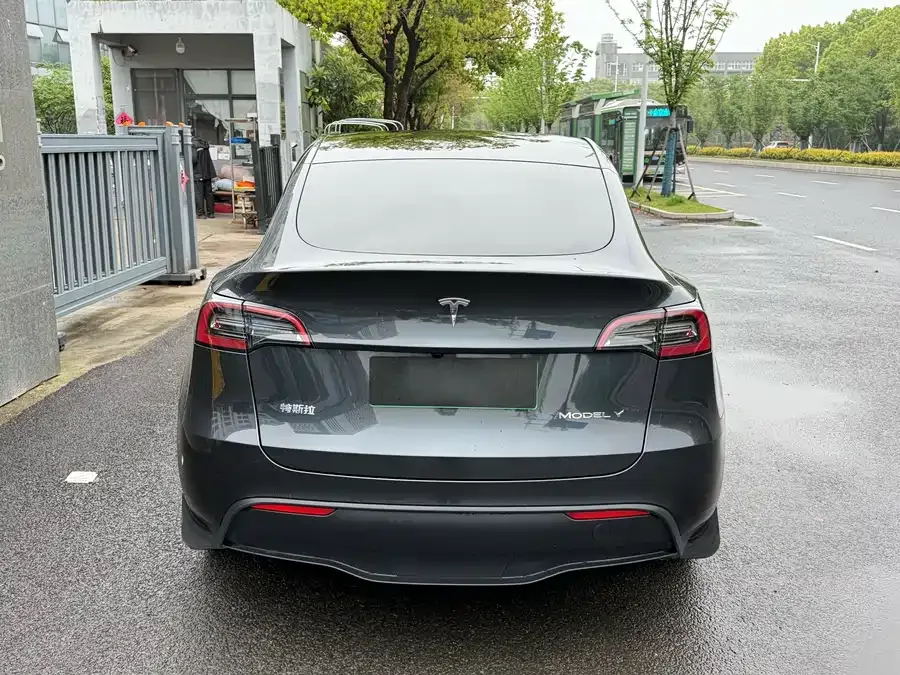 Tesla Model Y Model Y 2024 rear-wheel drive version 2024 — миниатюра 3
