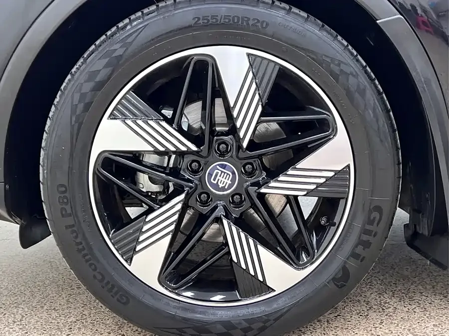 BYD Tang New Energy Tang New Energy 2023 DM-i Champion Edition 112KM Premium Edition 2023 — миниатюра 3