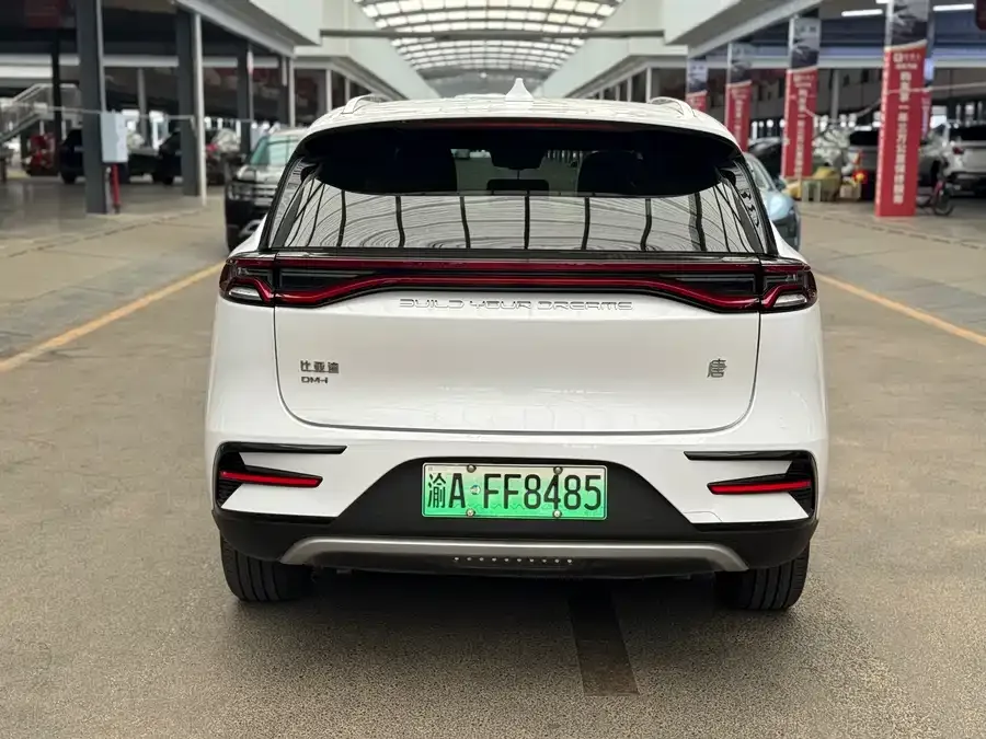 BYD Tang New Energy Tang New Energy 2021 DM-i 112KM Premium Edition 2023 — миниатюра 3