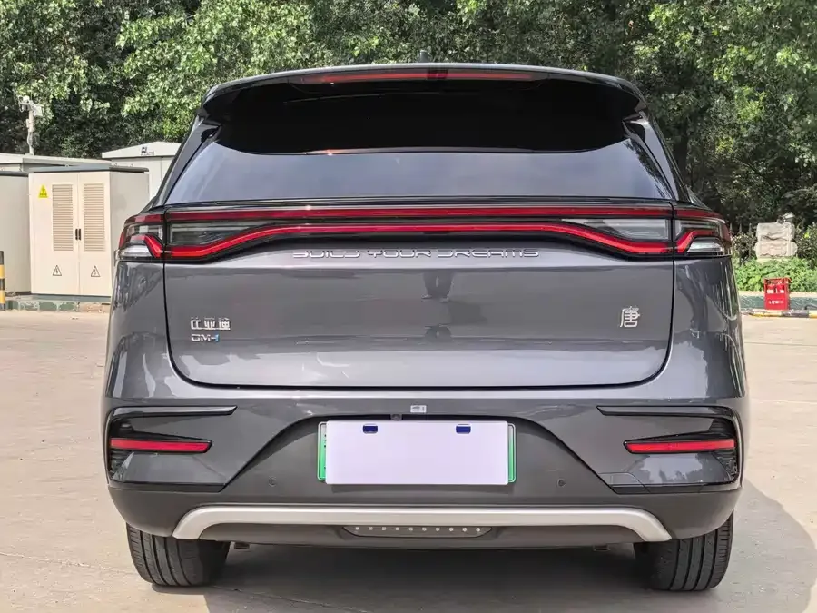 BYD Tang New Energy Tang New Energy 2021 DM-i 112KM Premium Edition 2023 — миниатюра 5