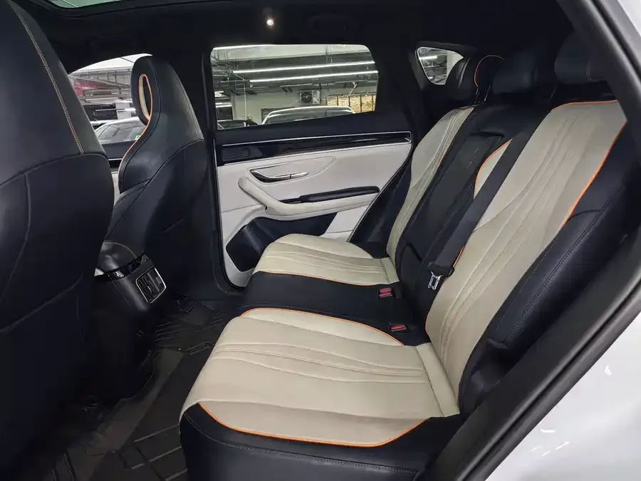 BYD Song PLUS New Energy Song PLUS New Energy 2021 EV Premium Edition 2022 — миниатюра 4