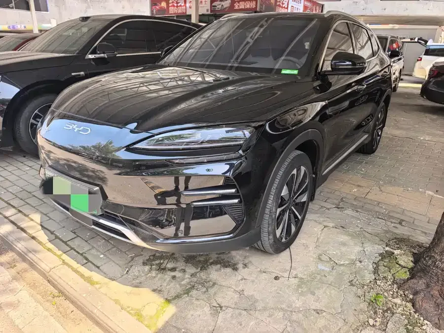 BYD Song PLUS New Energy 2024