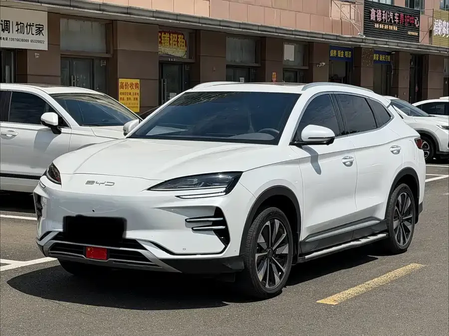 BYD Song PLUS New Energy 2024