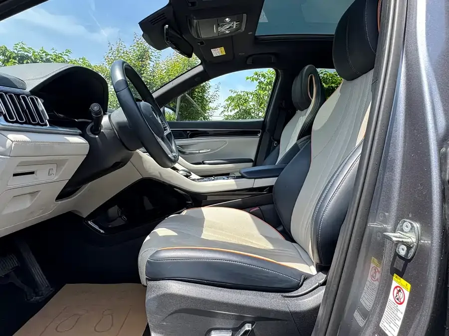 BYD Song PLUS New Energy Song PLUS New Energy 2021 DM-i 110KM Flagship PLUS 2023 — миниатюра 3