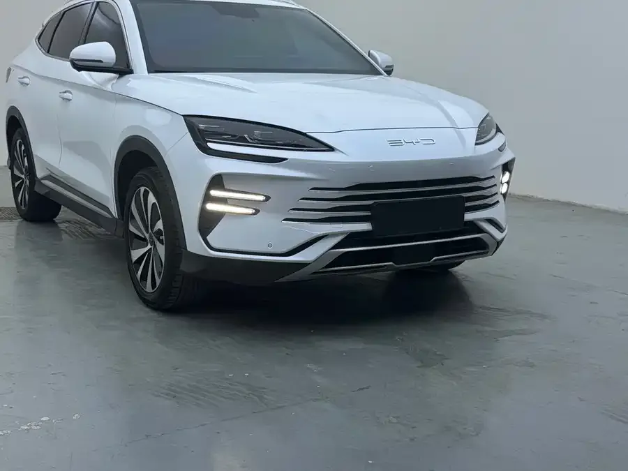 BYD Song PLUS New Energy 2024