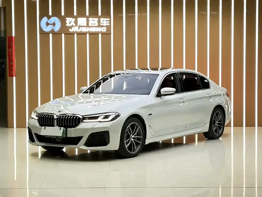 BMW 5 Series New Energy 2022