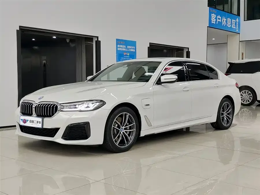 BMW 5 Series New Energy 2022